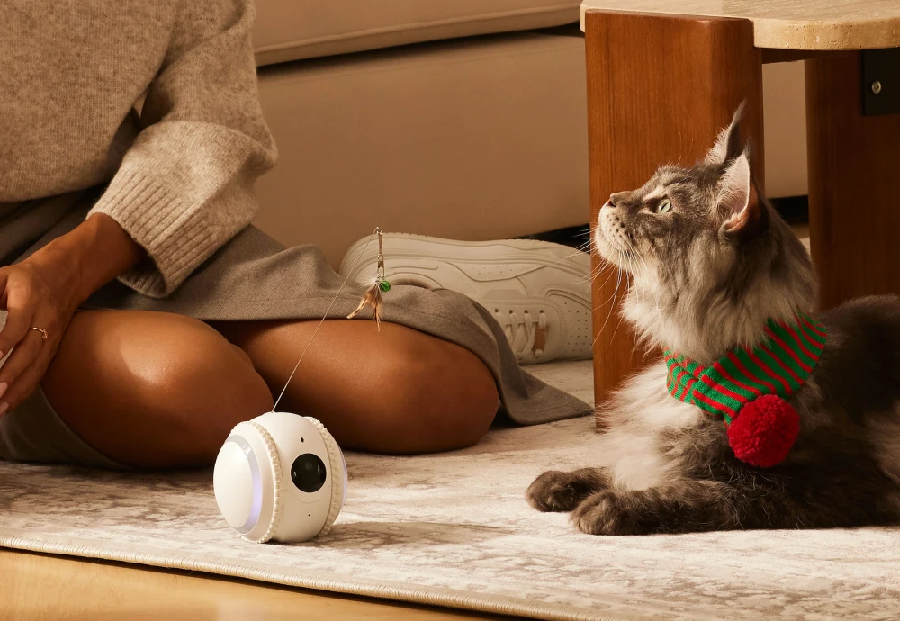 video camera for watching pets